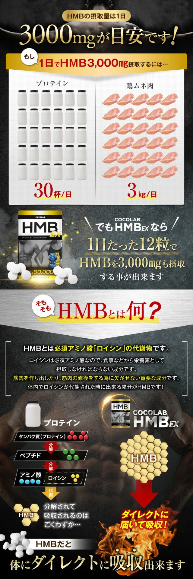 HMBサプリ