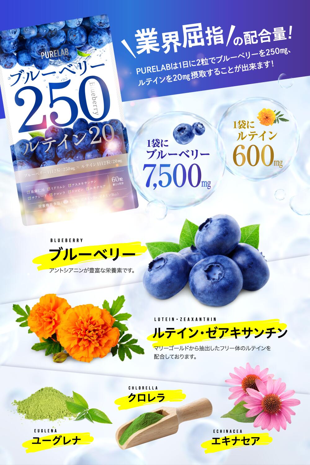 ブルーベリーサプリ